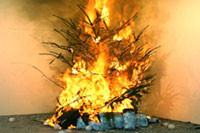 Новогодняя ёлка может стать причиной пожара